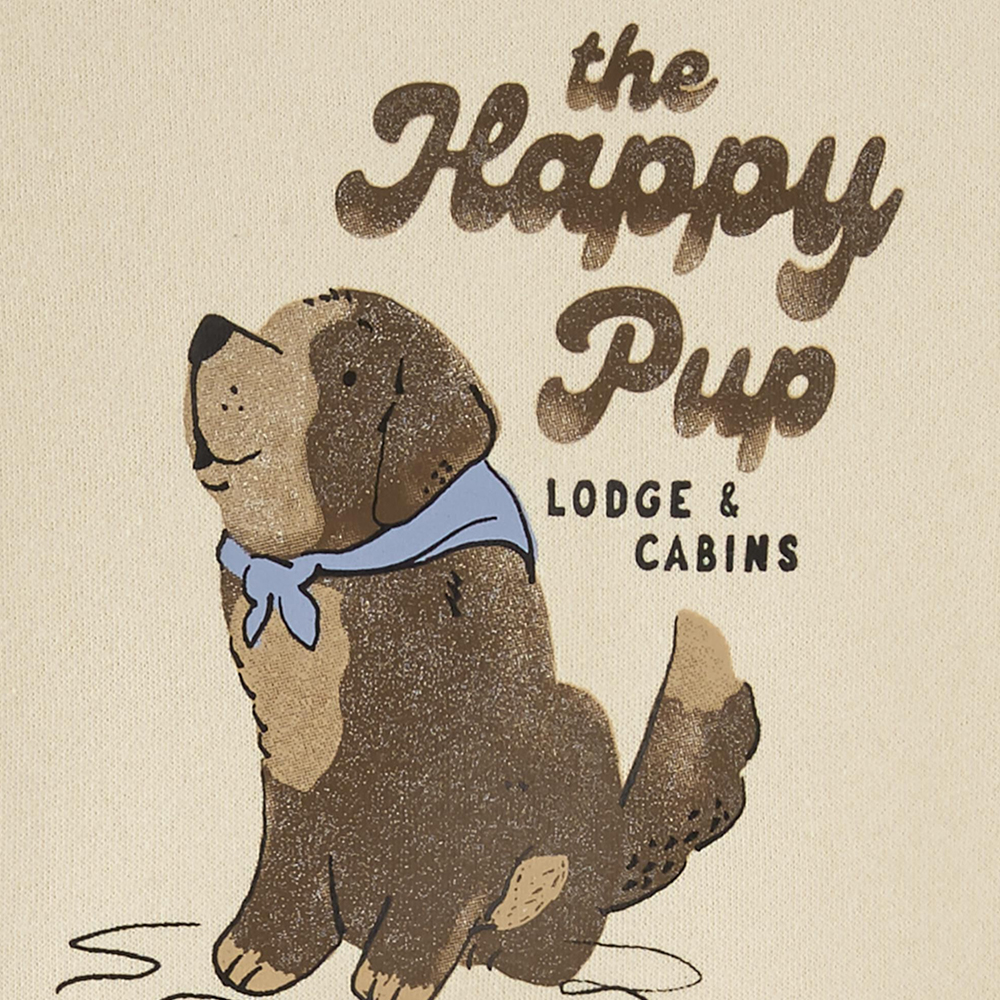 Kids Spring Tracksuit, Cartoon Lion Print Tshirt - 图片 2